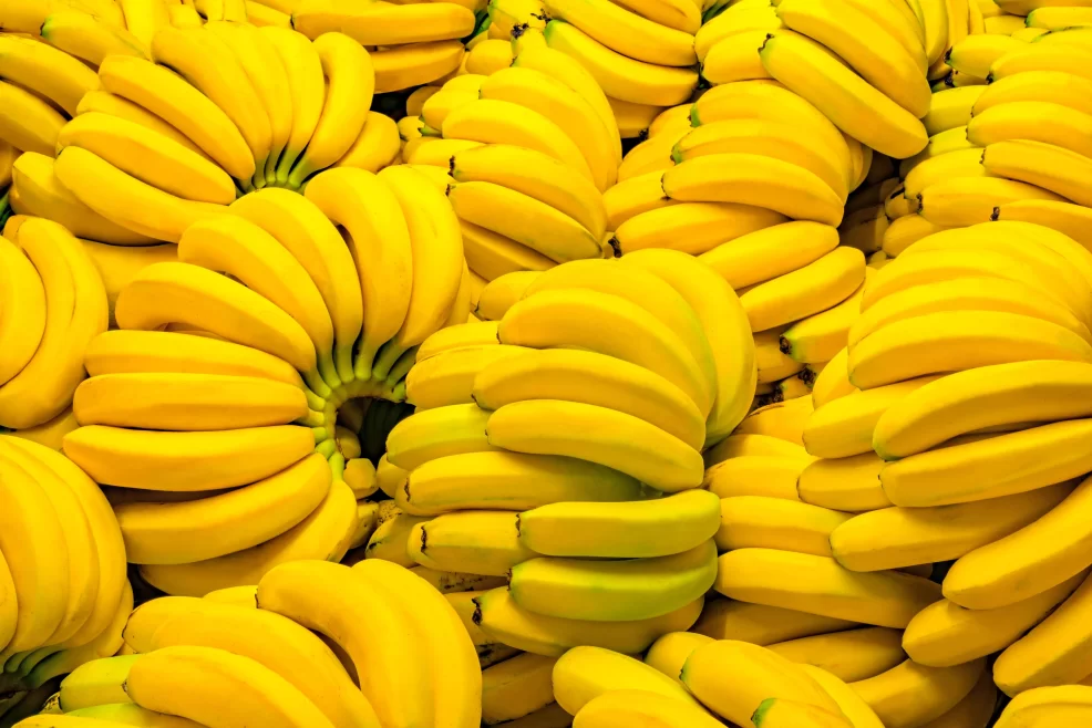 In Vitro Growth Responses of Ornamental Bananas