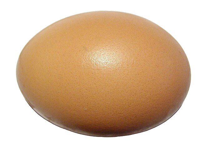 Egg